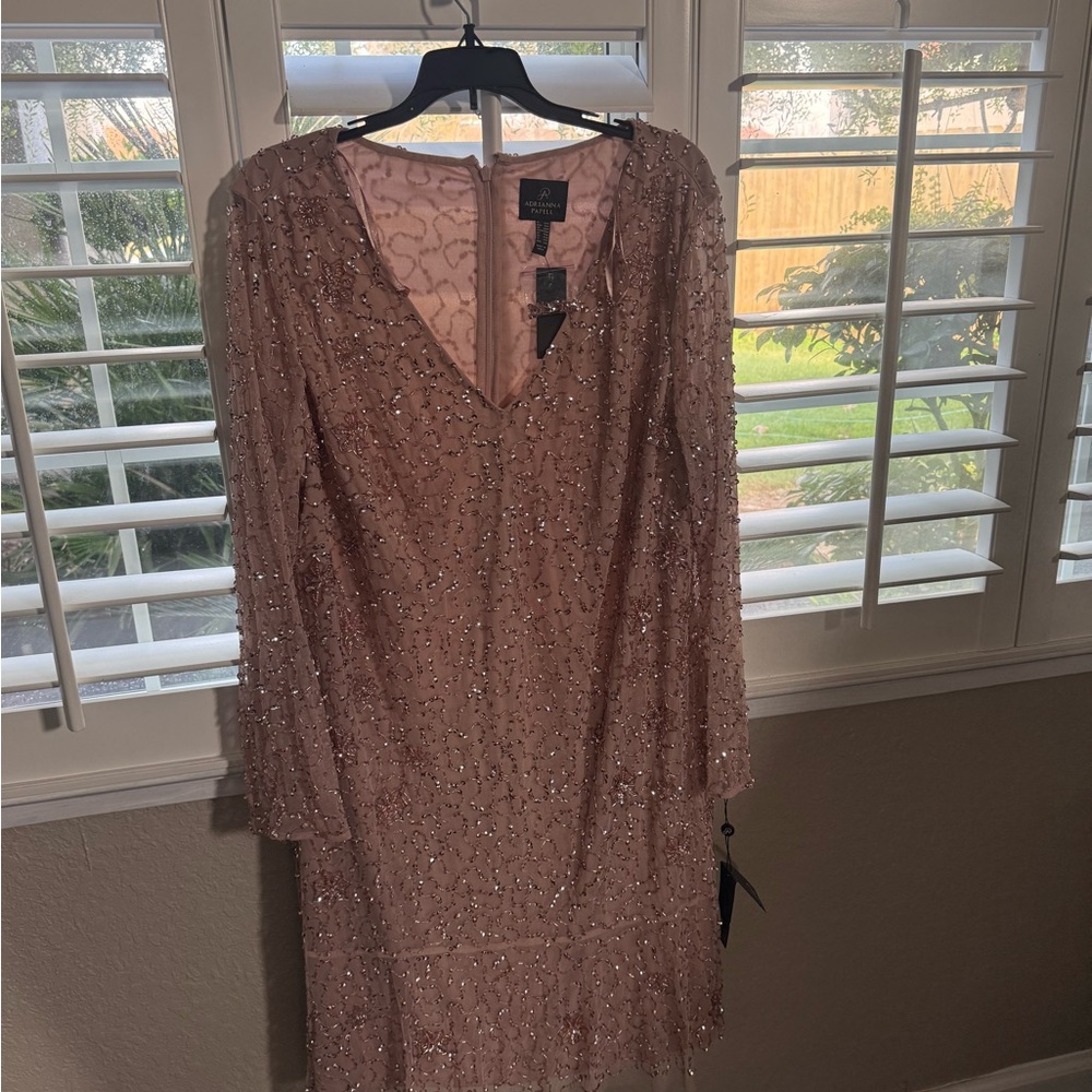 Adrianna Papell Blush Sequin Long Sleeve Dress